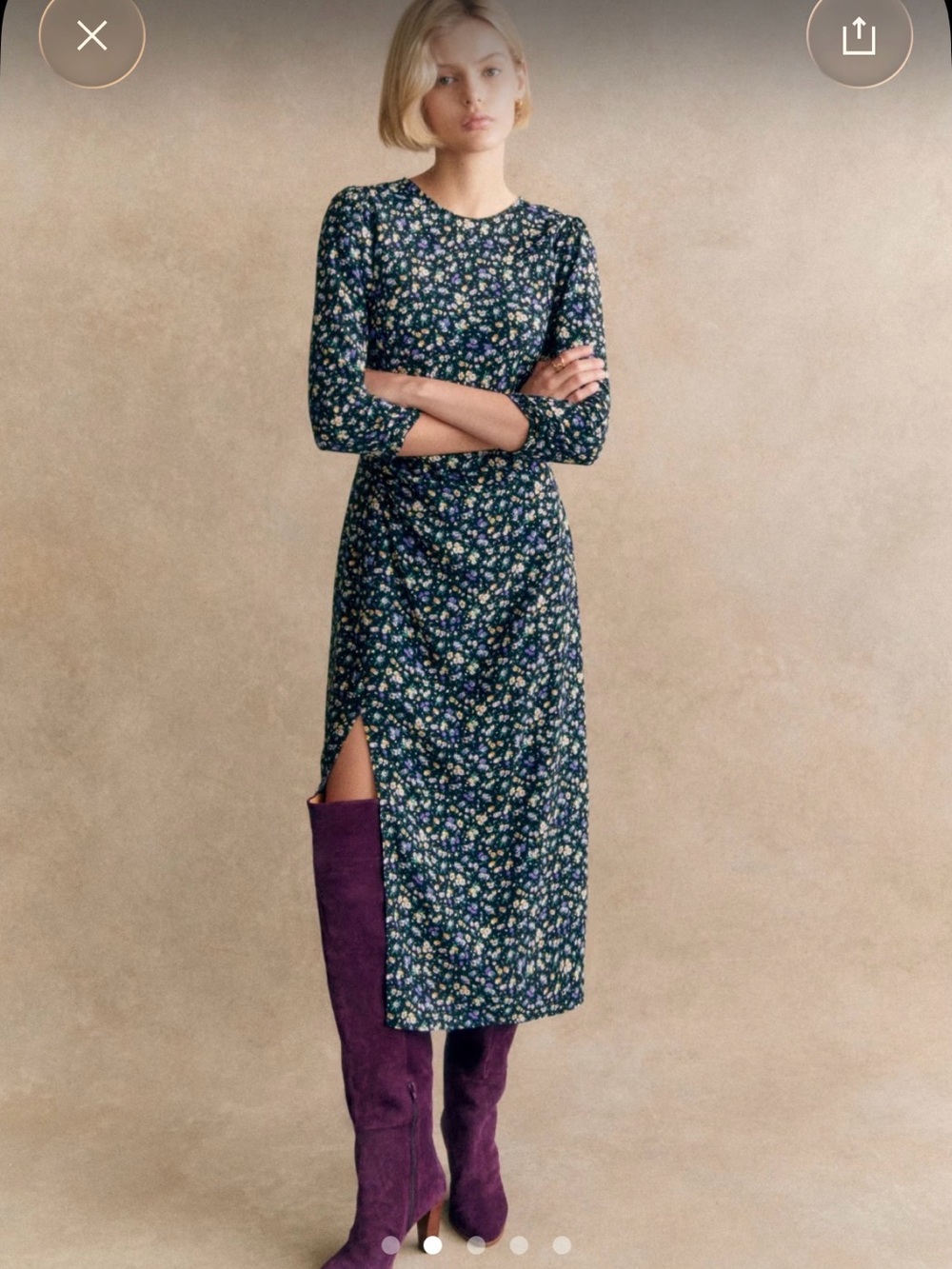 NWT Sezane Themis Dress